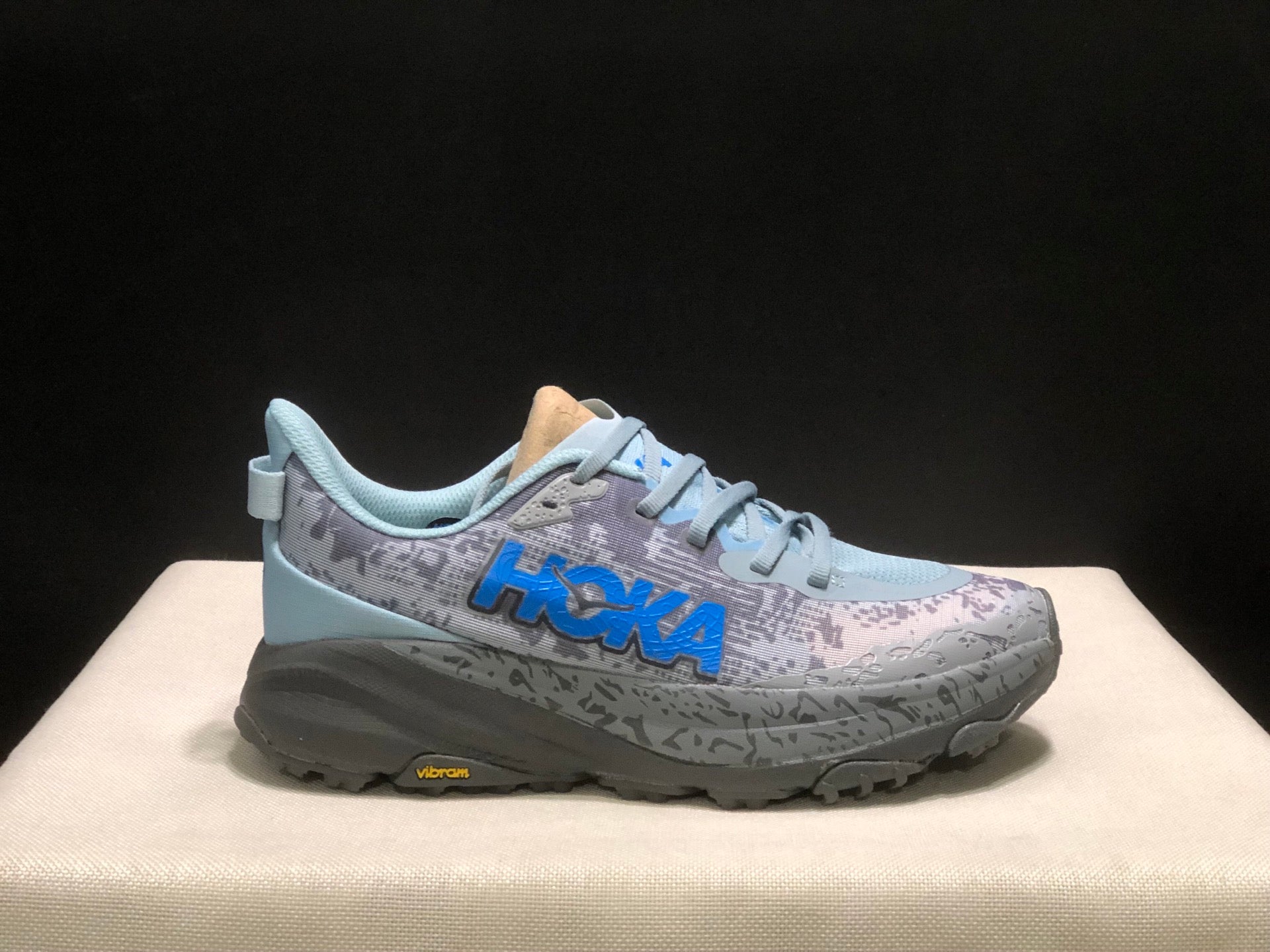 HOKA ONE ONE SPEED GOAT 6