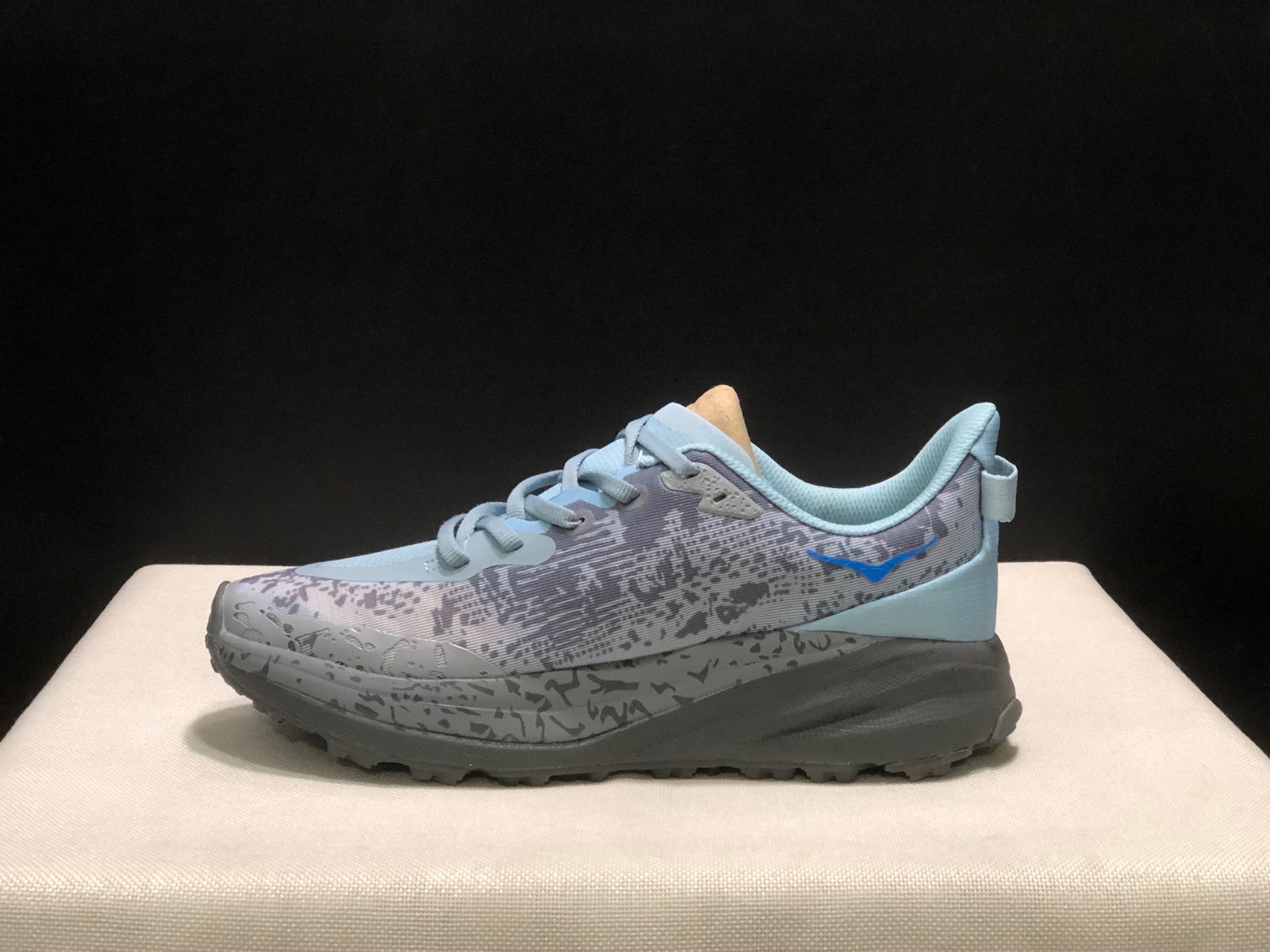 HOKA ONE ONE SPEED GOAT 6